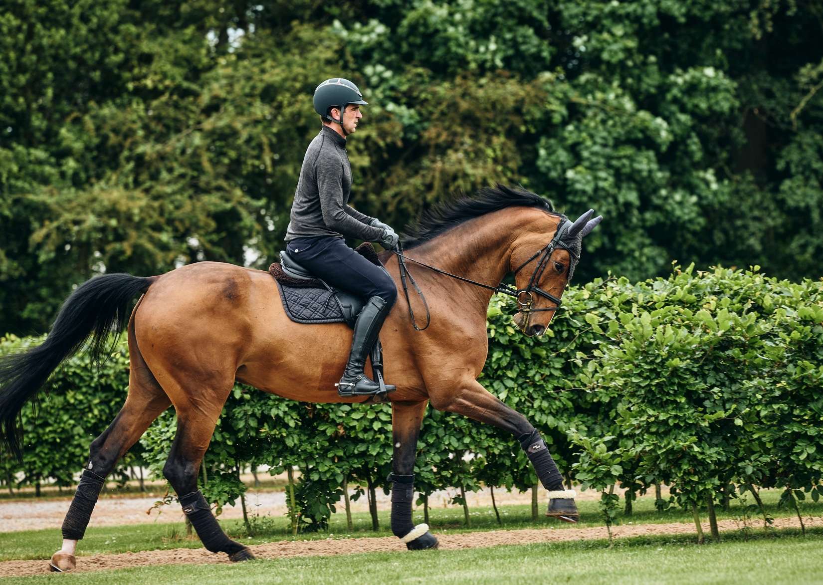 learn how to help support your horse's joints with this article from the golden paste company. Image of a horse and rider cantering