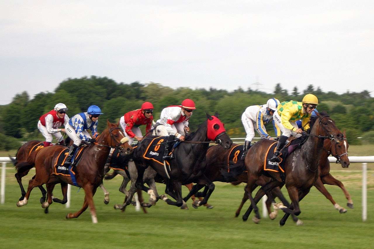 Horse racing facts image of horses racing on grass