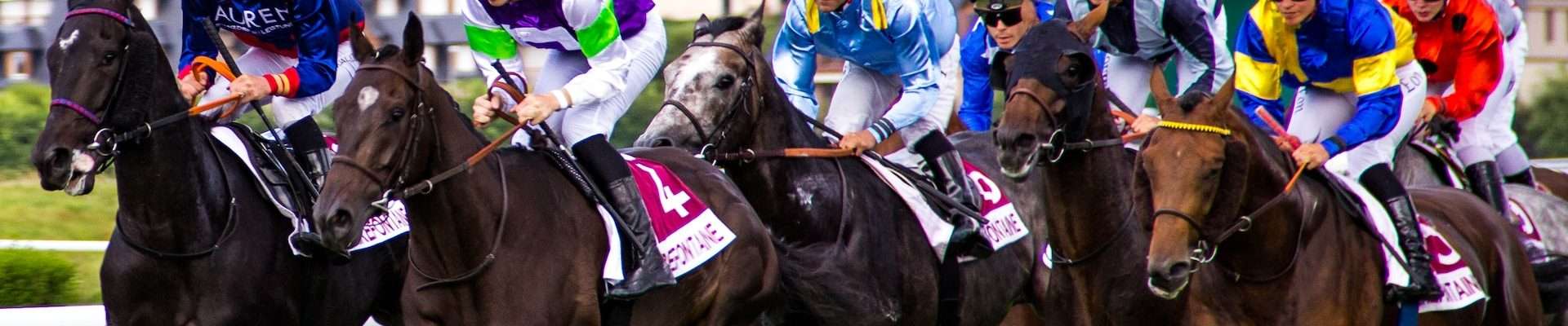 Three Legends of Royal Ascot - Photo by Philippe Oursel on Unsplash