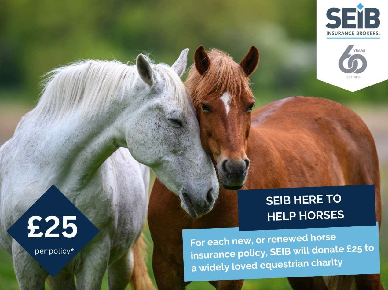 Up to £50,000 to go to equine charity for each SEIB policy taken out this Summer