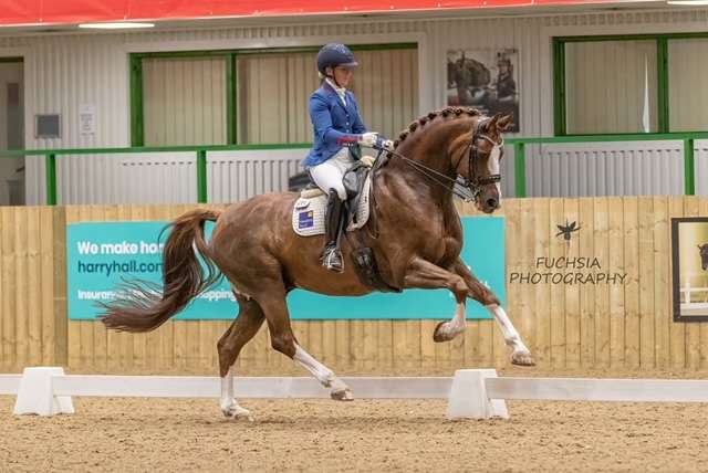 Lucinda Elliot and Hawtins Quattro competing in an indoor arena in the Cathedral Equine Tallington double bridle. (2)