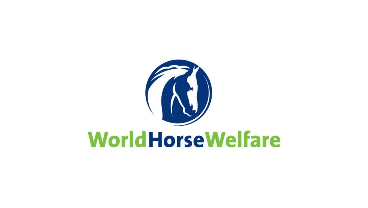 What does the World Horse Welfare do?