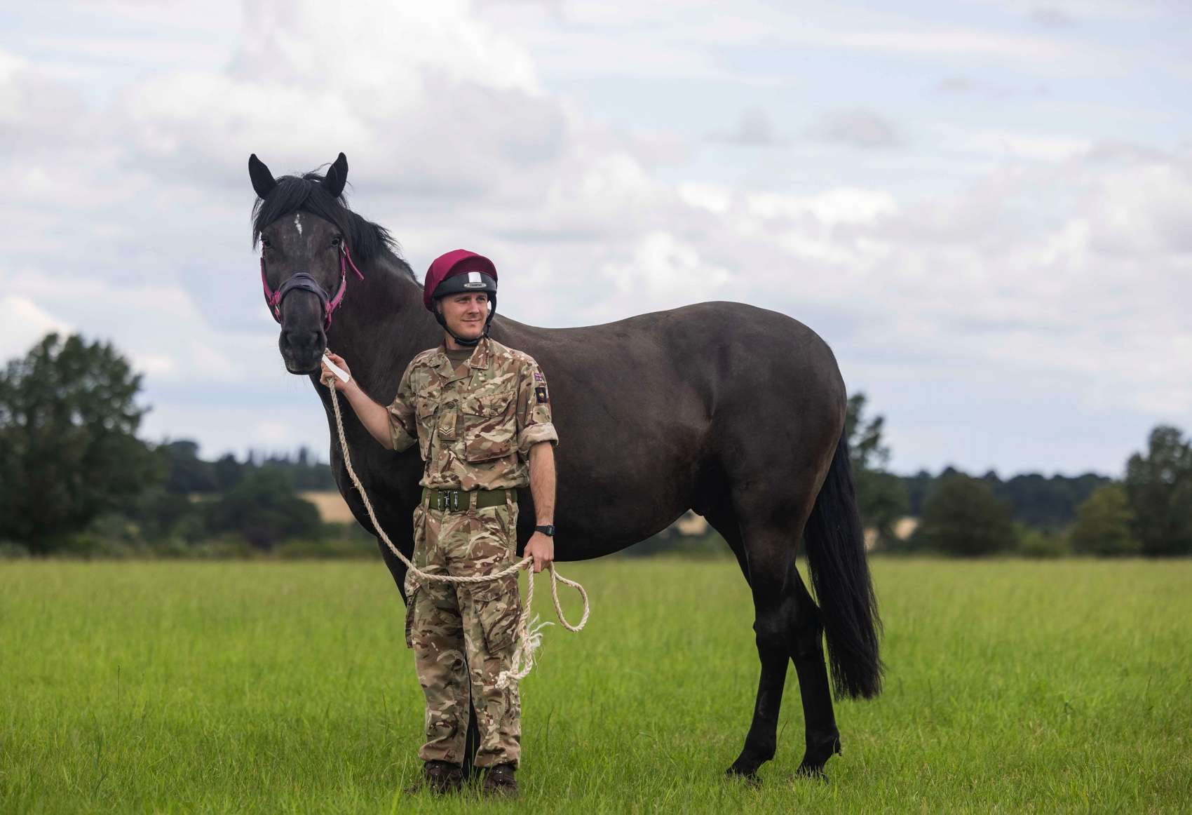 Military Horses set free for holiday frolics