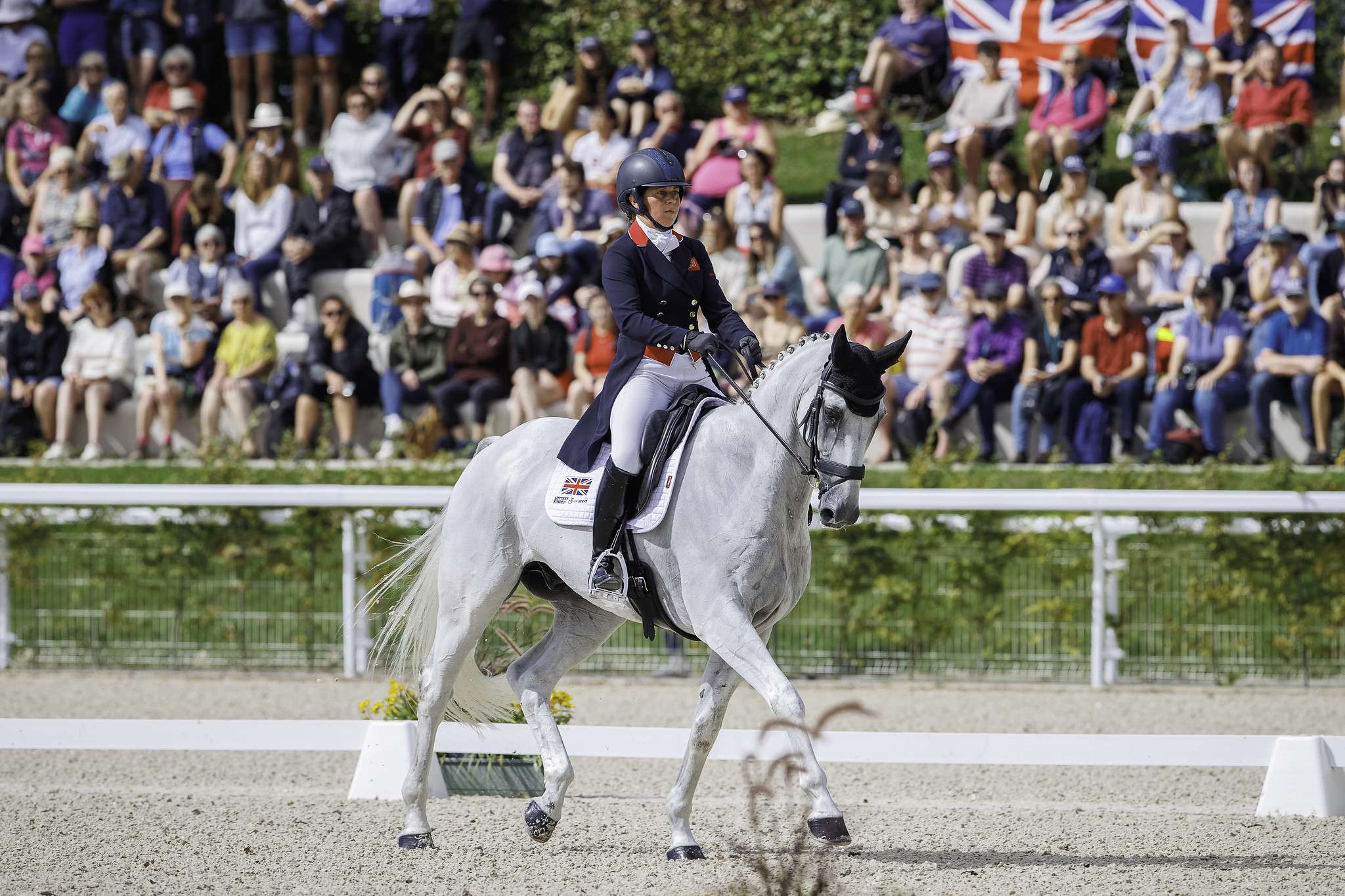 GBR-Kitty King rides Vendredi Biats during the first day of dressage. 2023 FRA-FEI Eventing European Championships | Haras du Pin, France. Thursday 10 August 2023. Copyright Photo: FEI/Libby Law Photography