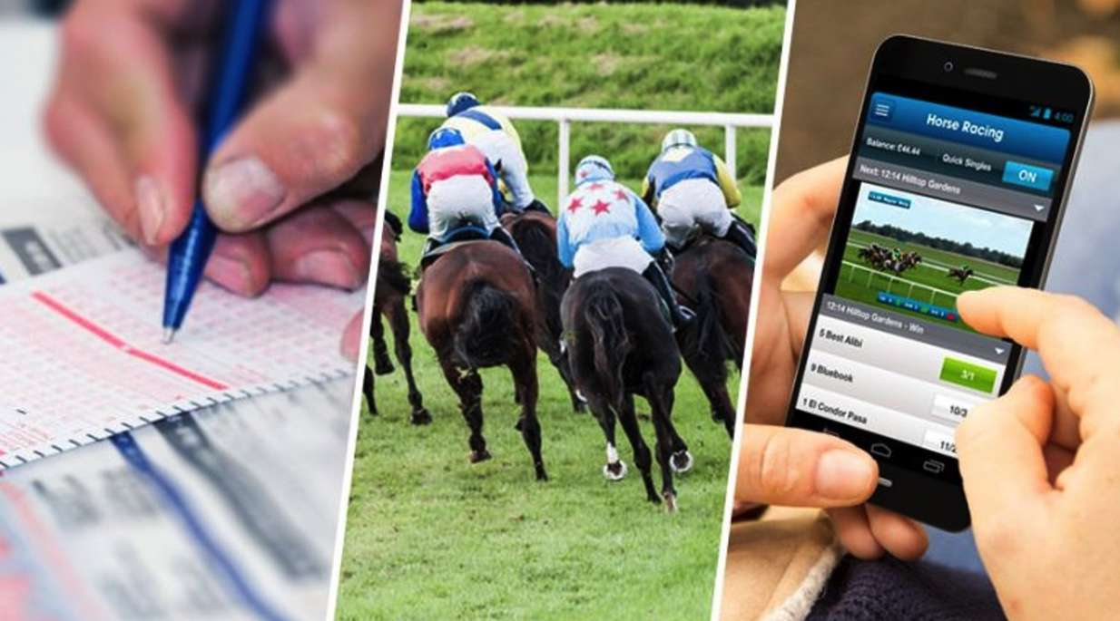 Horse racing betting tips