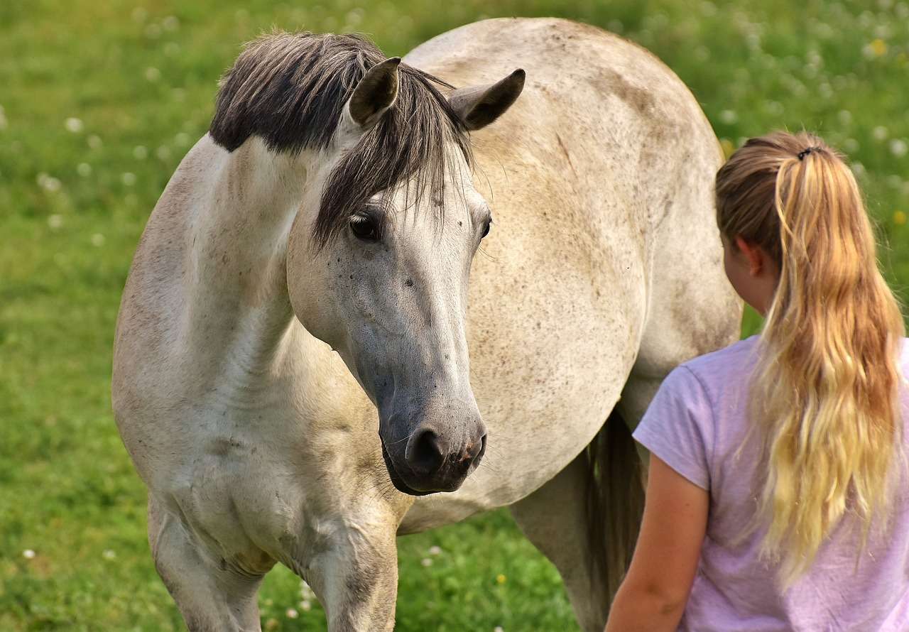 costs of horse ownership image of girl approaching a horse in the field