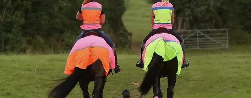 what to look for in HI-VIZ horse riding gear. Image of two riders in Equisafety clothing riding through a field.