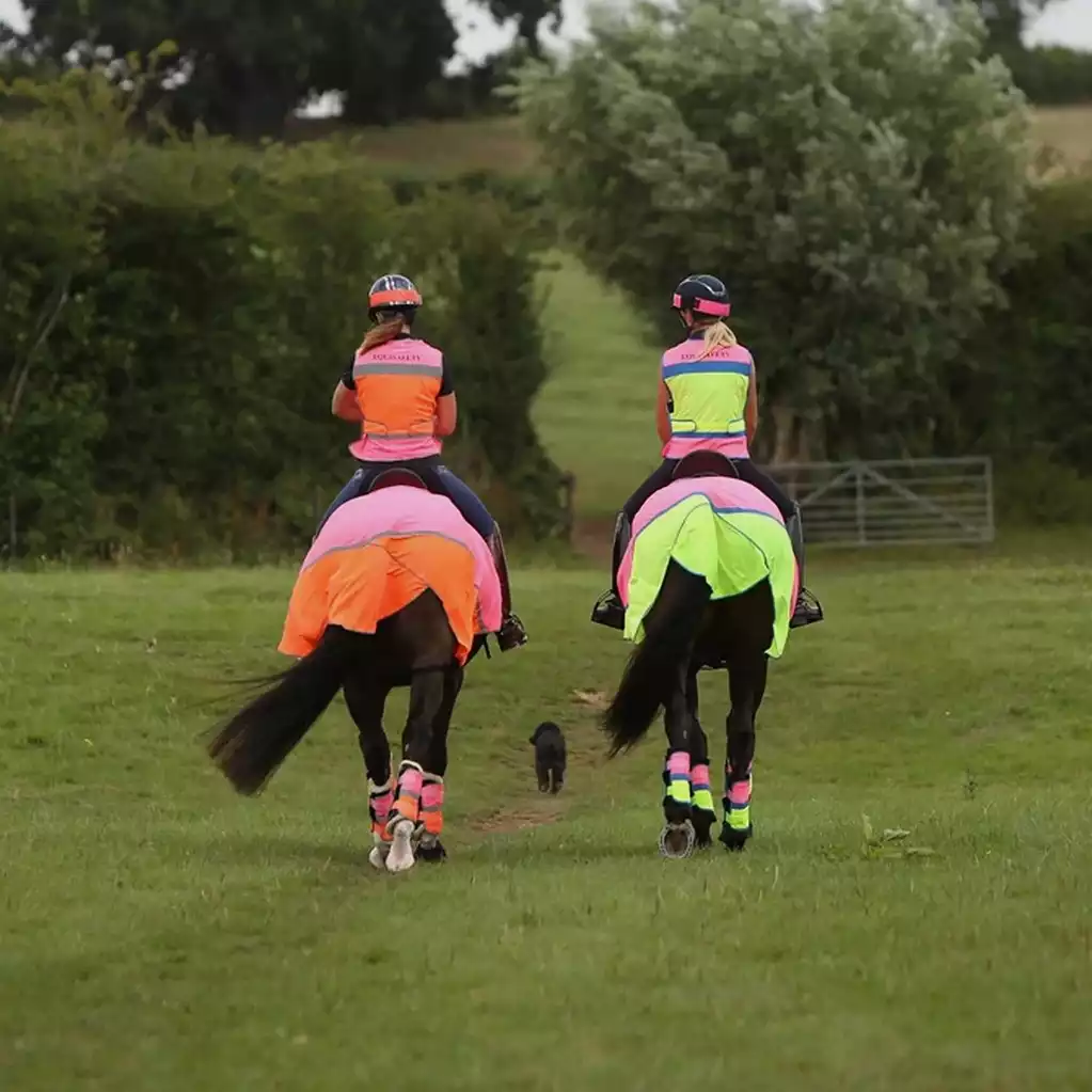 what to look for in HI-VIZ horse riding gear. Image of two riders in Equisafety clothing riding through a field.