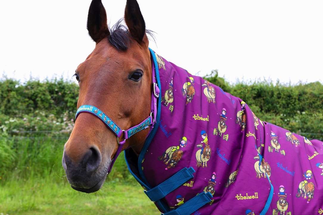 New Thelwell Print Autumn 2023 in purple with thelwell characters printed on the rug.