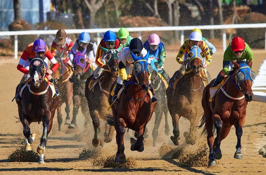 famous horse races - horses racing on sand with jockeys in various racing colours