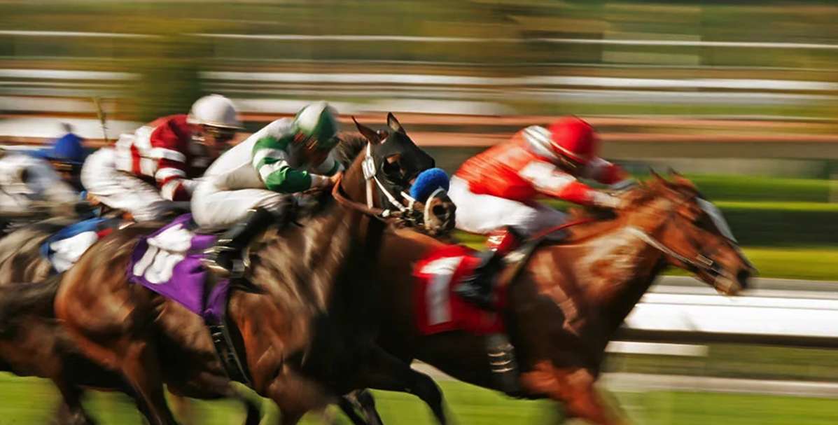 Winning Horse Racing Betting Strategies for Higher Profits
