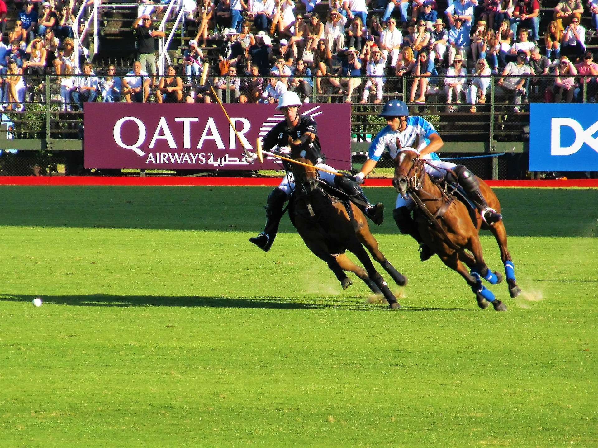 equestrian sports in college may include polo - image of polo players