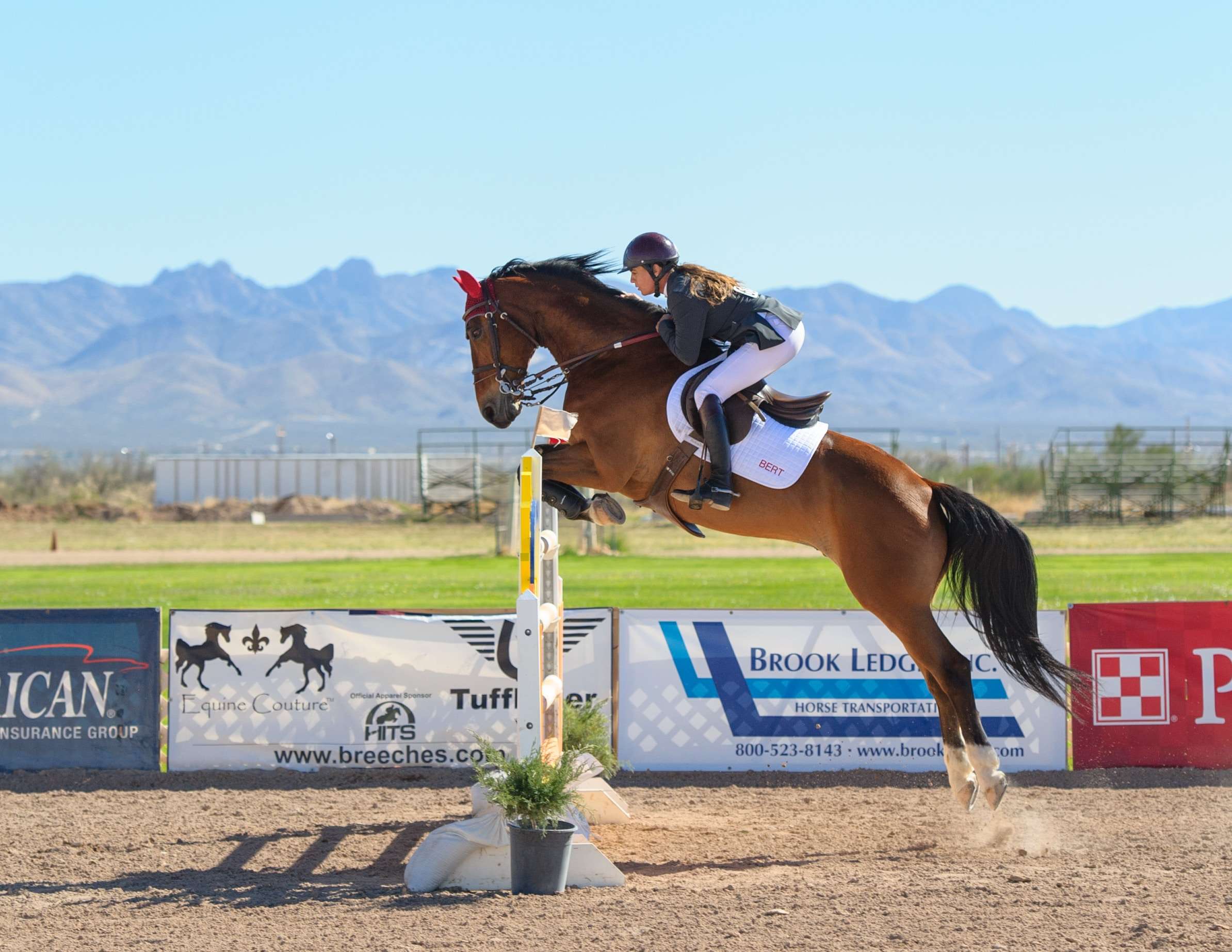 A Year-Round Guide to Equestrian Events and Lifestyle