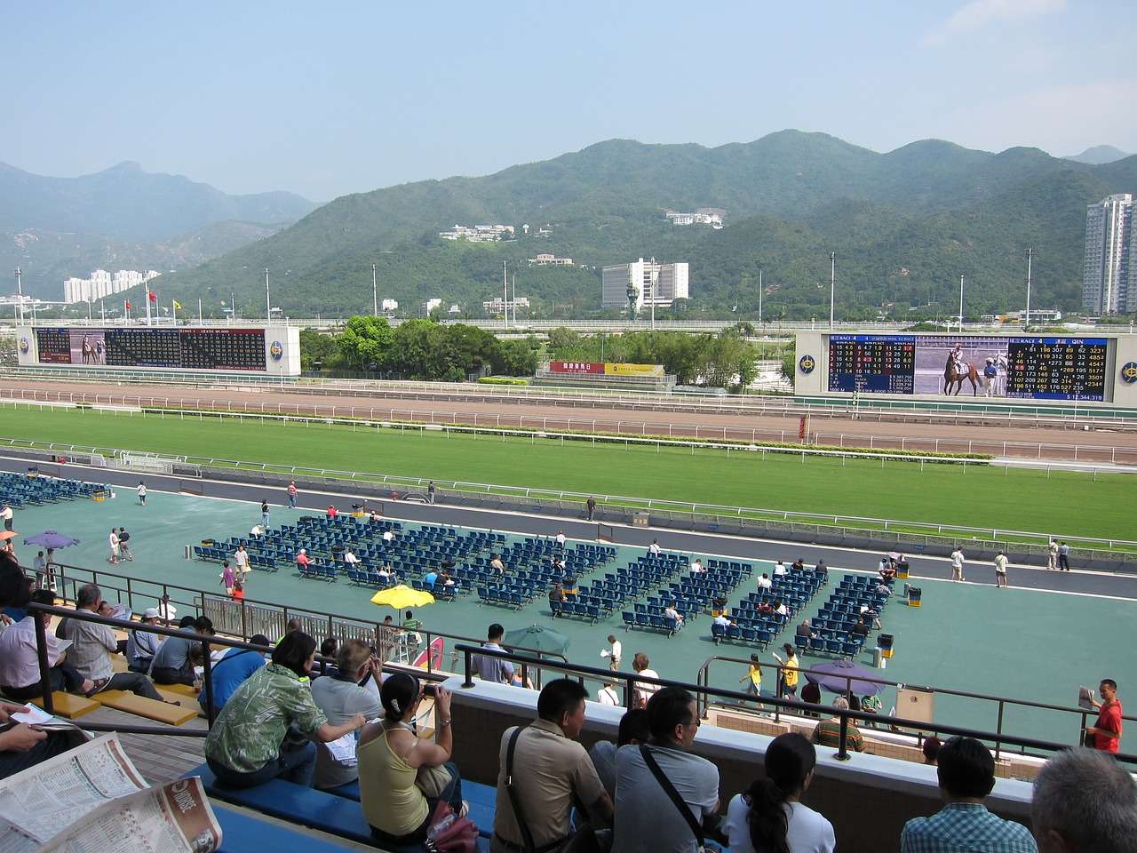 horse racing betting stands