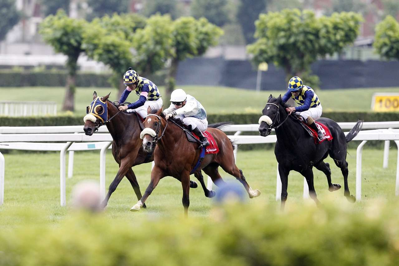 Breeders cup image of three horses racing on a grass track