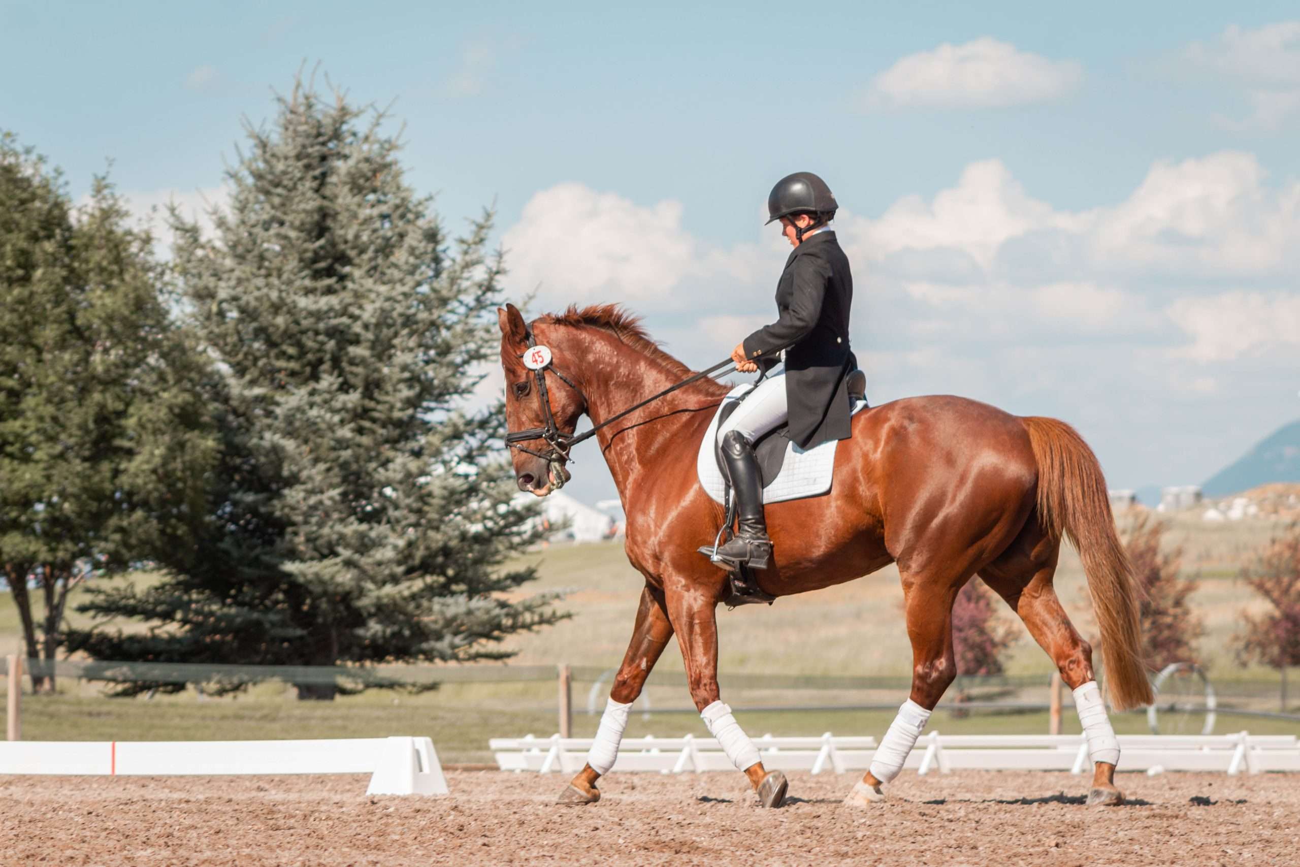 Equestrian Education: Unleashing Student Riders' Potential