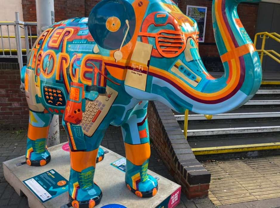 Here’s your chance to own an Elephant!