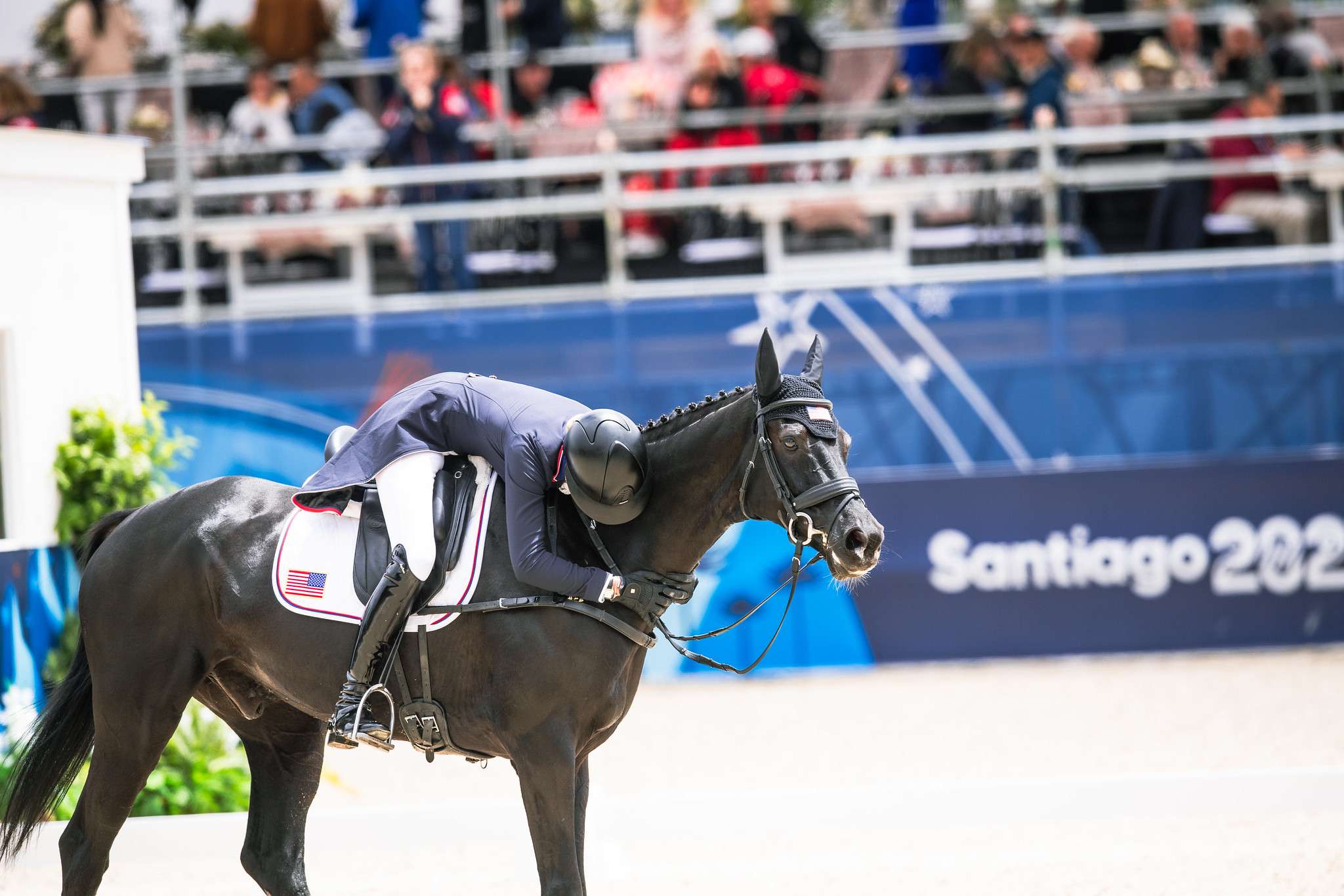 Pan American Games in Santiago, Chili 2023 -- Caroline PAMUKCU with
HSH Blake-USA-(USA) after dressage test in eventing at the Pan American Games Santiago, Chile 2023
 
Copyright ©FEI/Shannon Brinkman