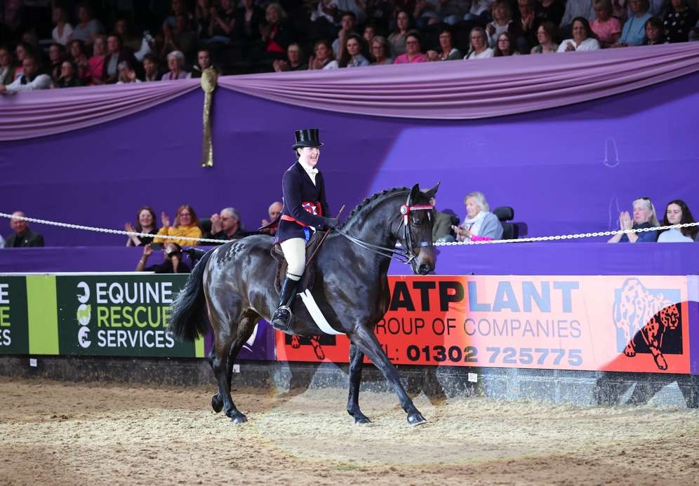Homebred Hack on a high in SEIB Search for a Star HOYS Final