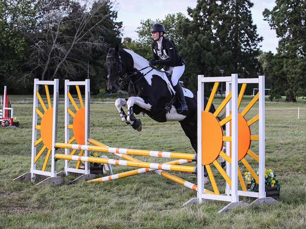 horse showjumping at eventing competition
