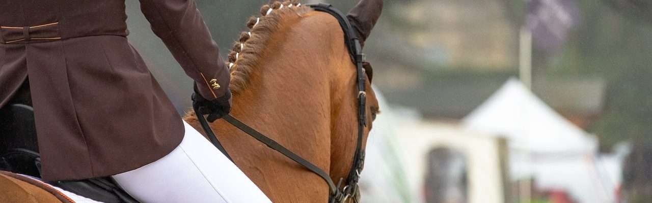 horse rider weight limitations an image of horse and rider at a show