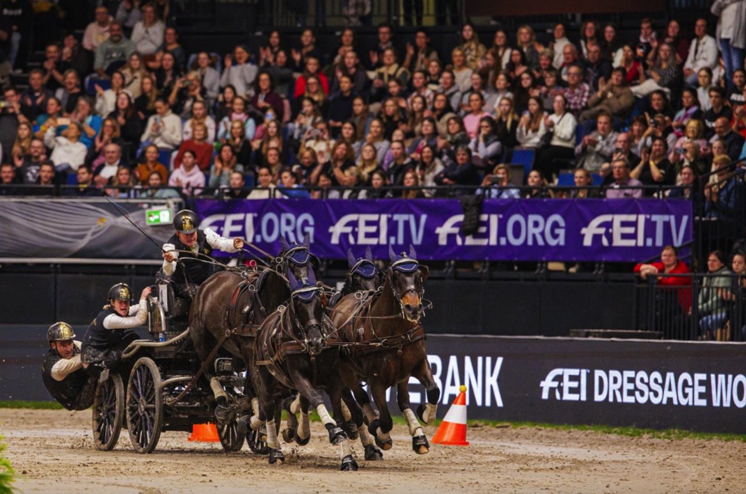 FEI Driving: Third Consecutive win for Boyd in Stuttgart (GER) amidst drama for the Dutch