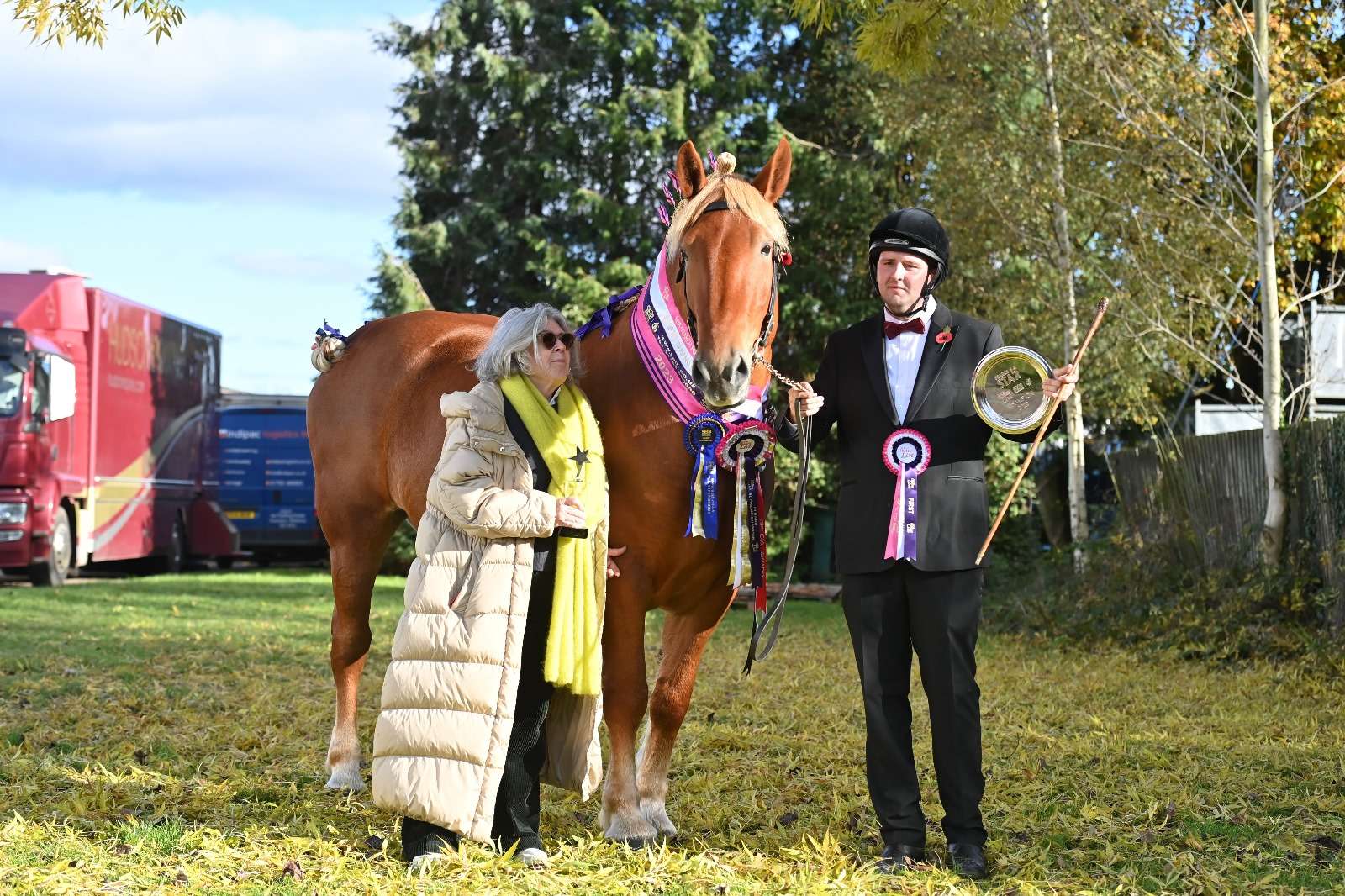 Suffolk Punch Horse takes 2023 SEIB Search for a Star Championships at YHL
