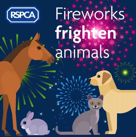 Fireworks Frighten Animals graphic featuring horse, rabbit, cat and dog