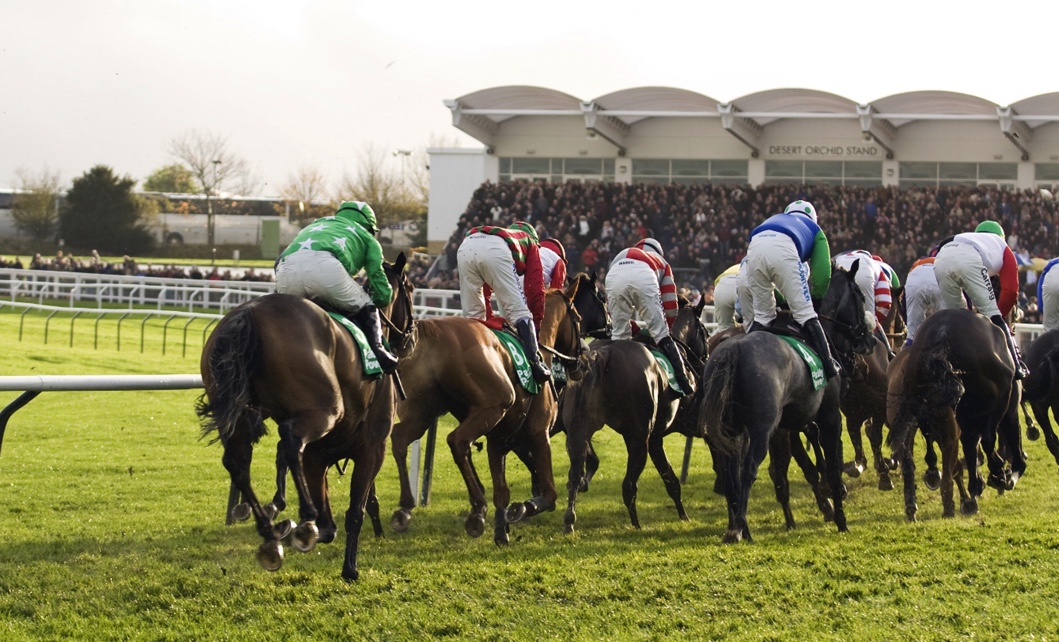 Three outsiders to consider for the Greatwood Handicap Hurdle
