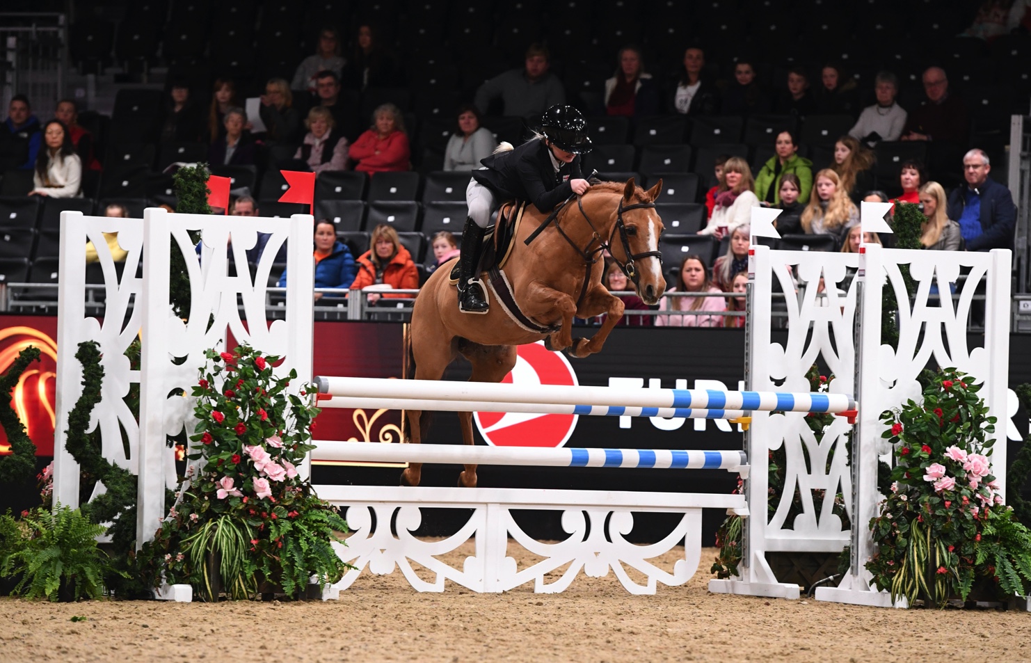 London International Horse Show Welcome Showjumping Stars of the Future