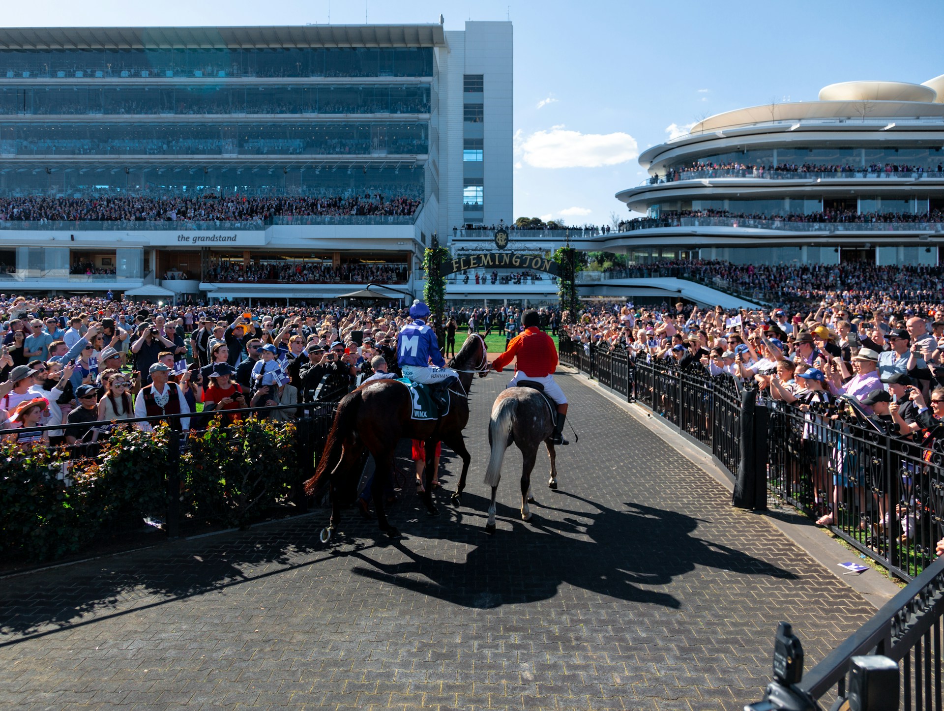 Your ultimate guide to betting on the races