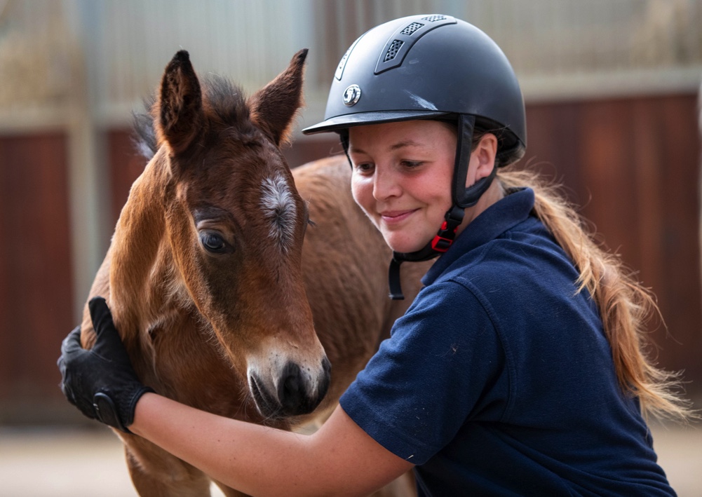 World Horse Welfare launch new survey to assess how the cost of living crisis is impacting horse owners across the uk