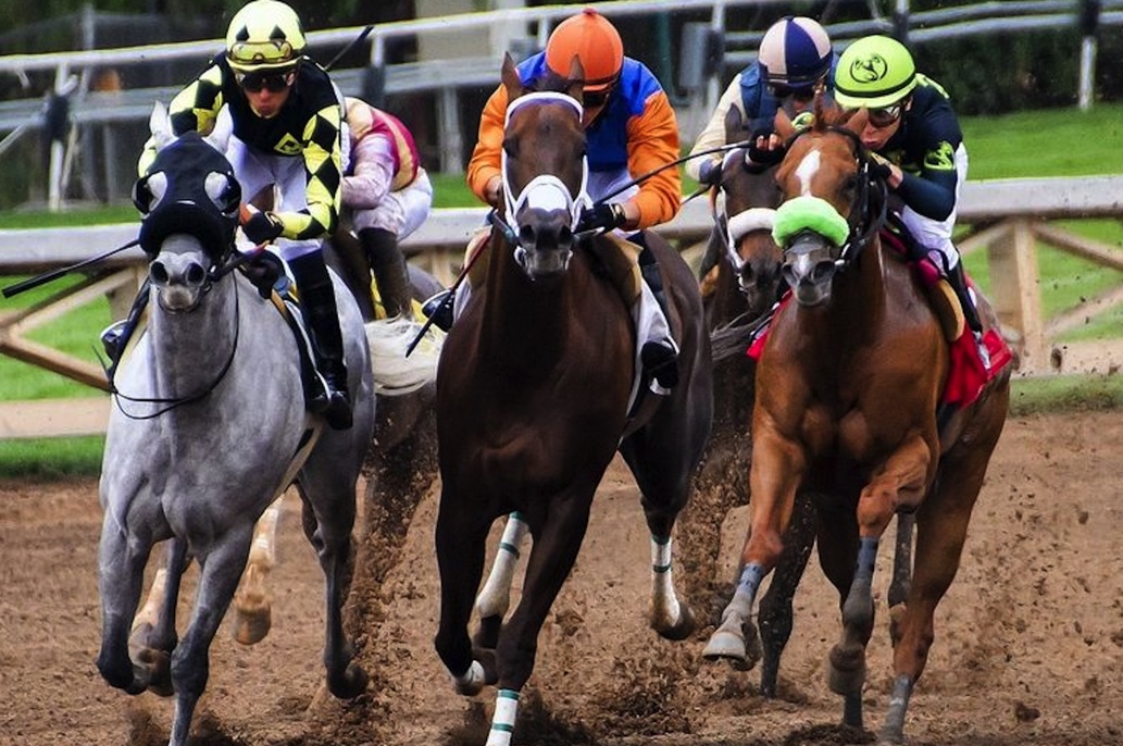 Thanks to the new law, which was signed by Governor Roy Cooper, betting on various sporting events will be possible throughout North Carolina. Horses racing on sand