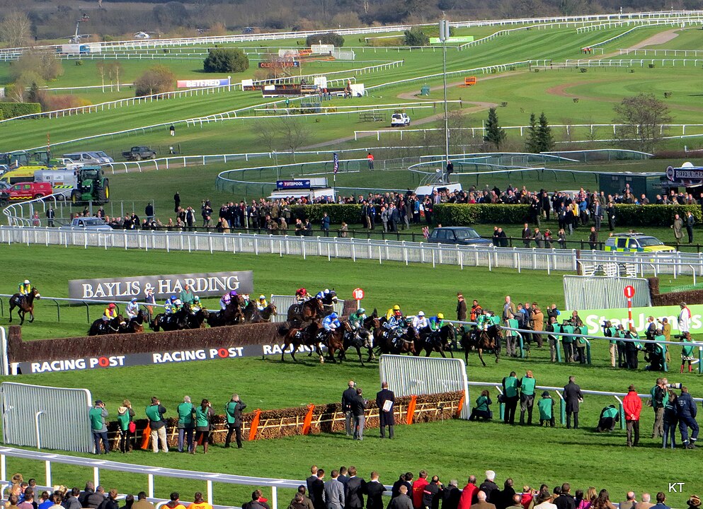 Cheltenham Festival. By Carine06 from UK - Handicap chase, CC BY-SA 2.0, https://commons.wikimedia.org/w/index.php?curid=37285208