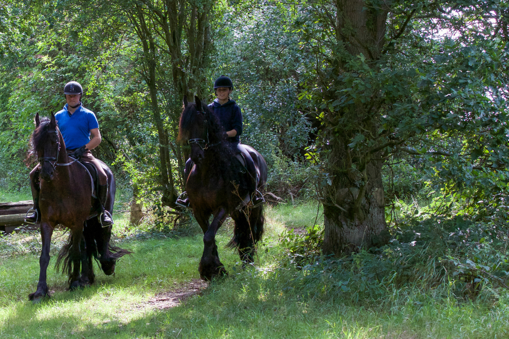 Is hacking out as good as turnout? Image of two horses and their riders