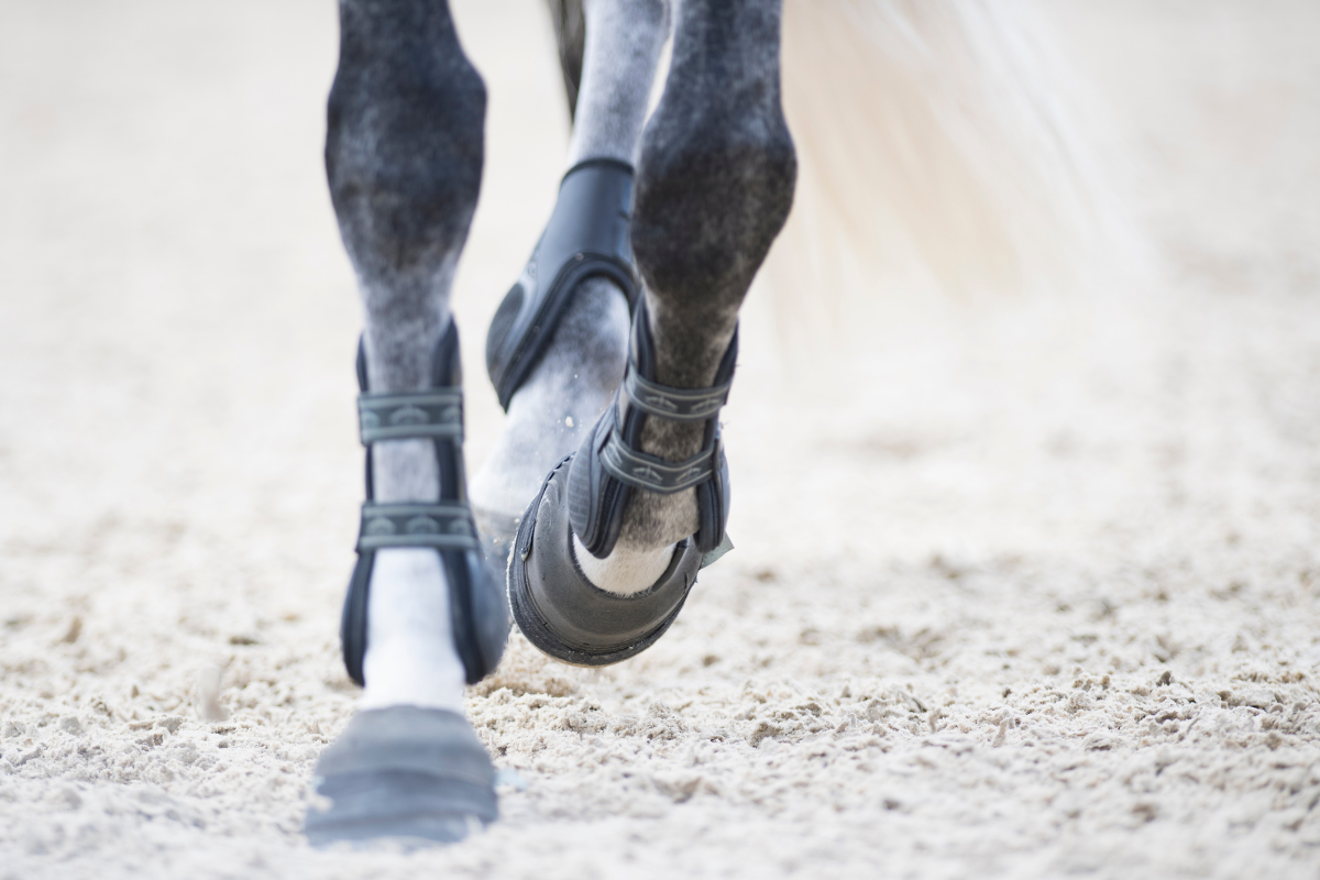 How To Protect Your Horse’s Joints