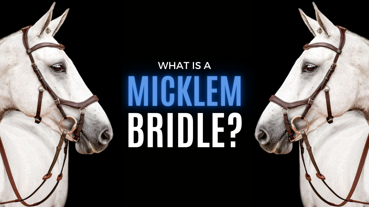 What is a micklem bridle? Article focussing on the bridle for a horse