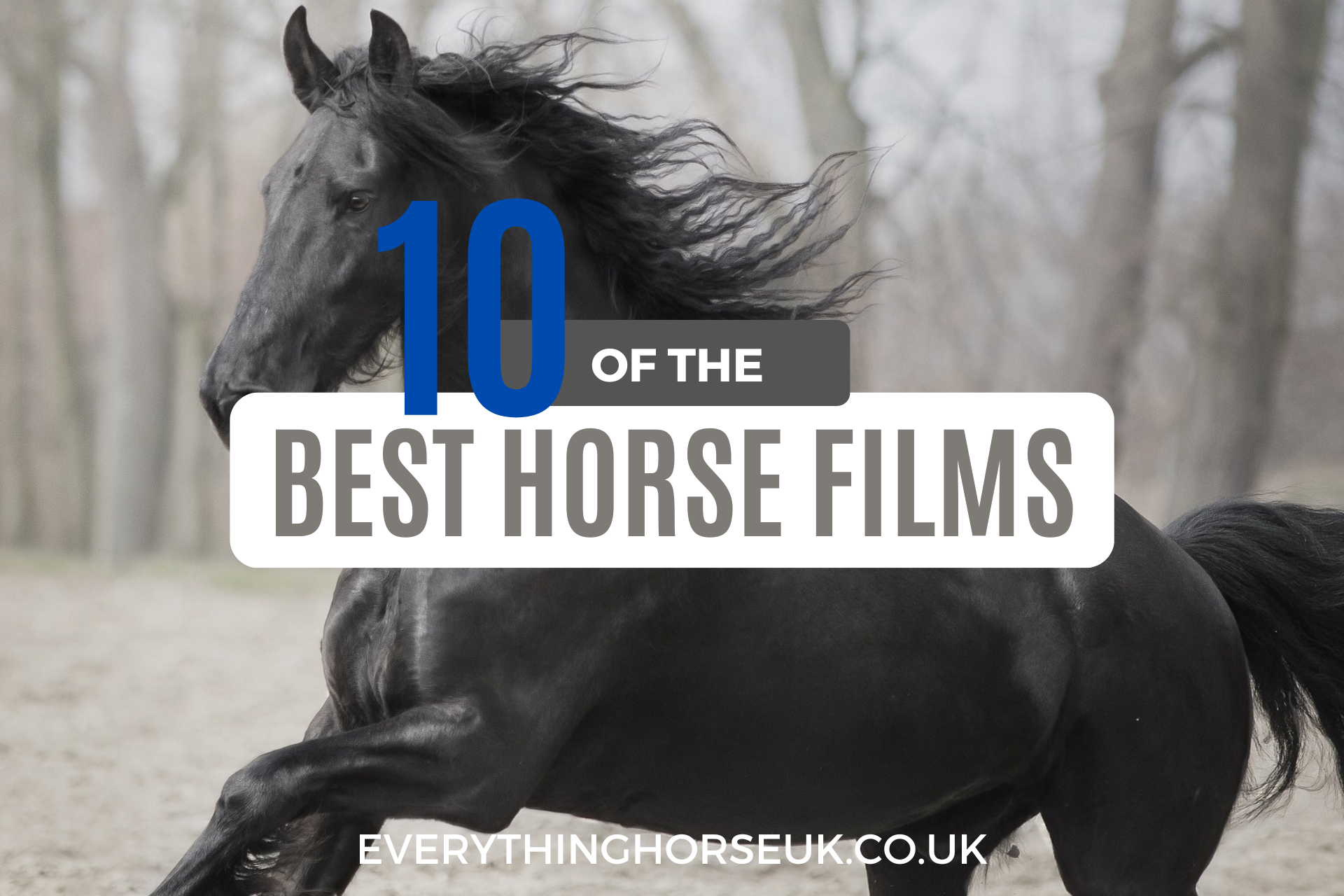 10 of the best horse films