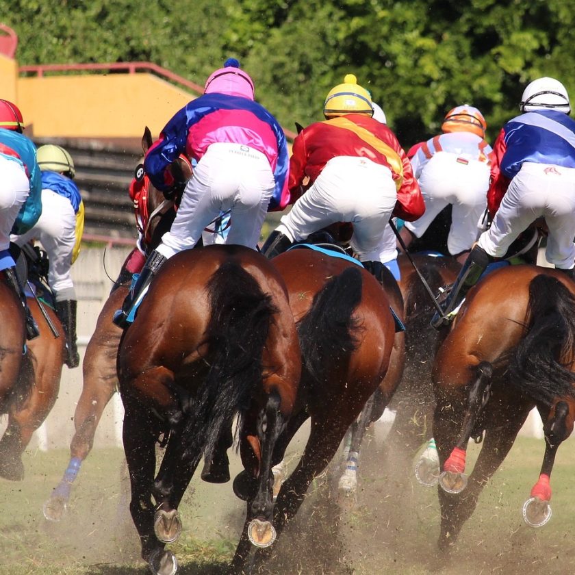 Ranking the best horse racing betting sites in the UK right now. Image of horses racing