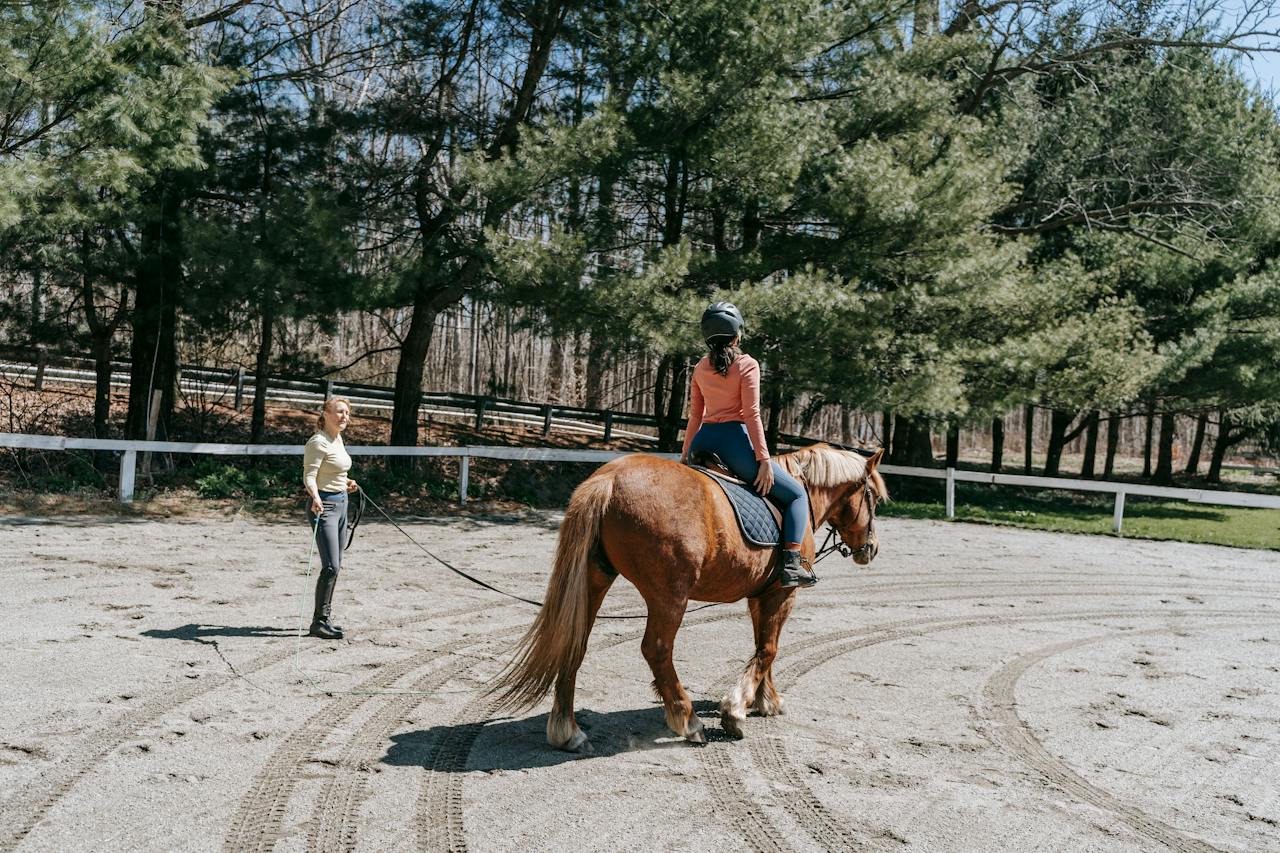horse riding coaching