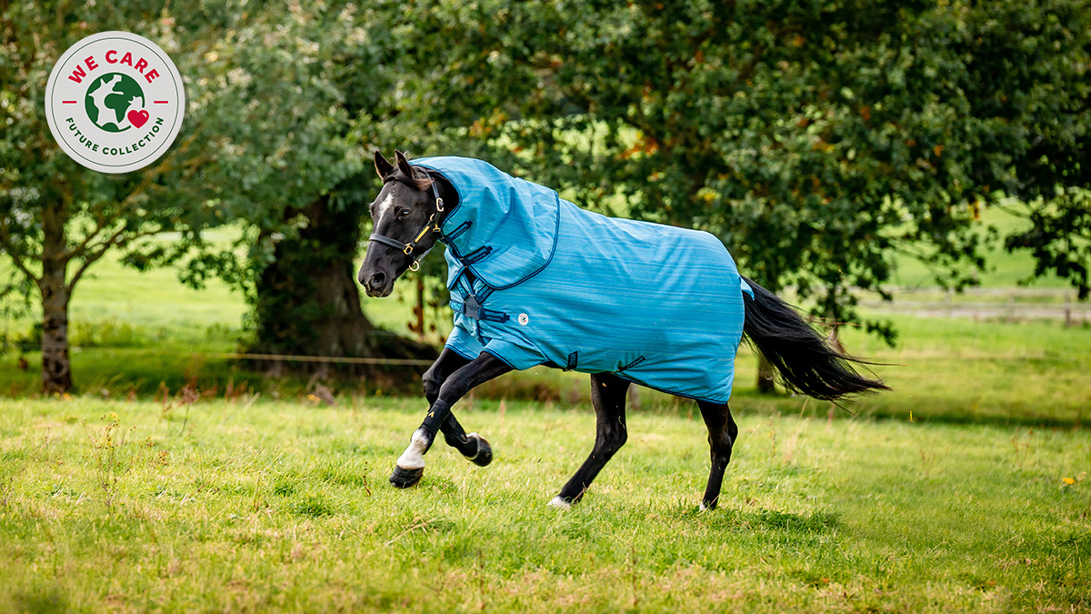 Horseware win SPOGA innovation award. Image of a horse cantering through a field.