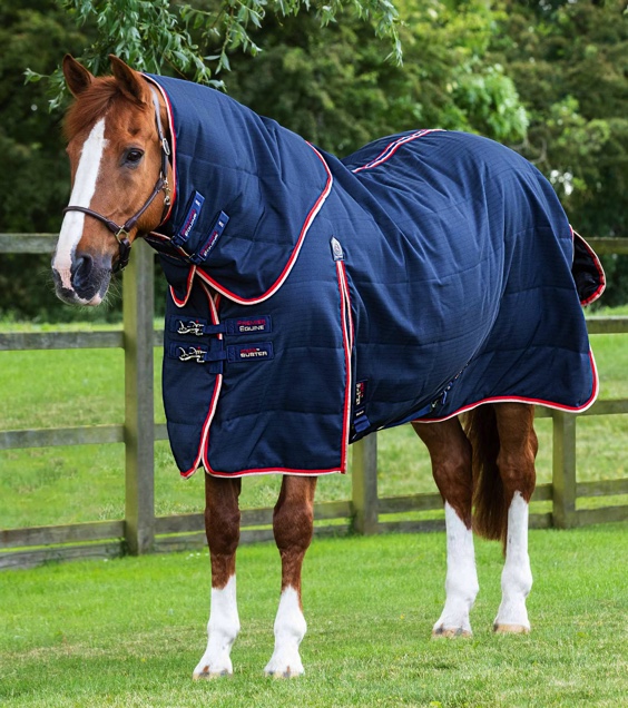 A chesnut horse in a Premier Equine Stable Buster 100 with a neck piece.