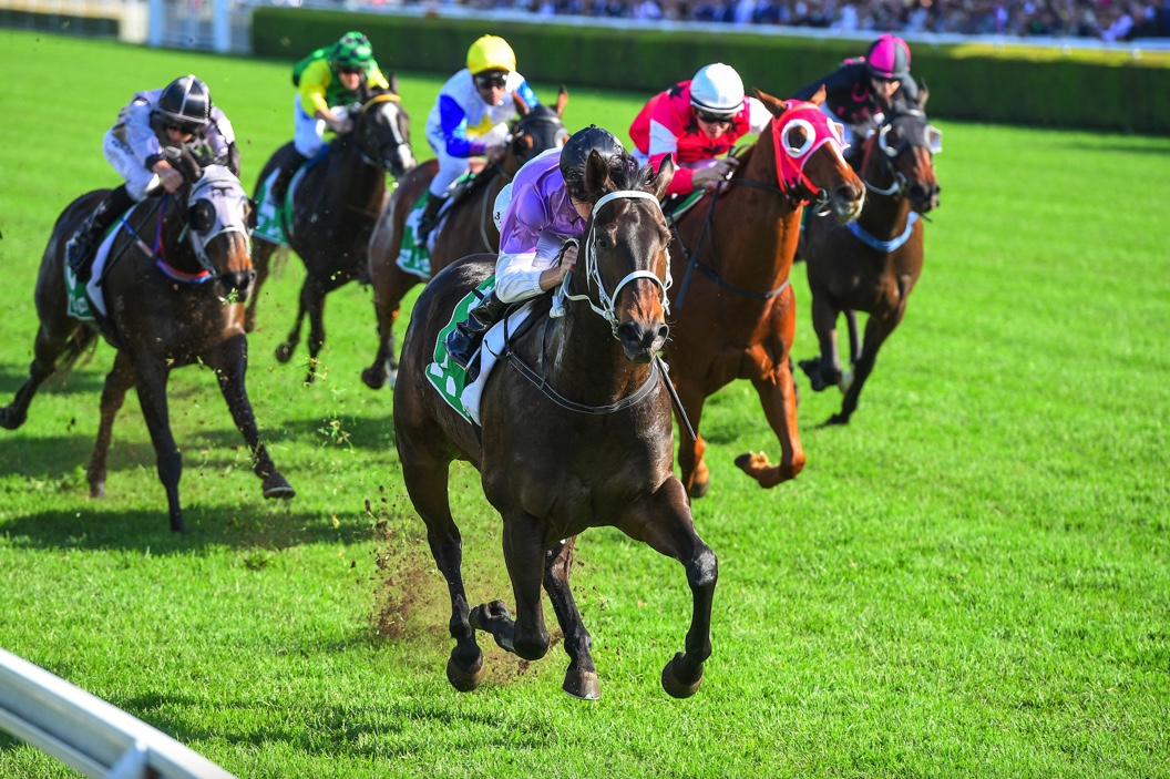 6 jockeys and their horses racing worldwide on grass
