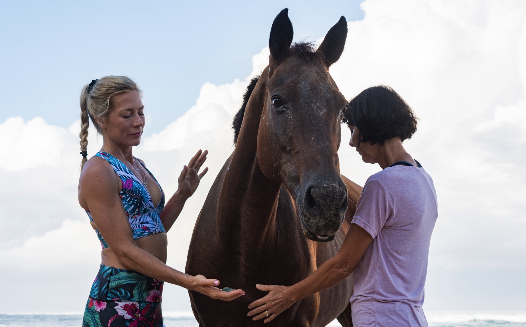 NIHI’S original horse whisperer, Carol Sharpe with a horse and client