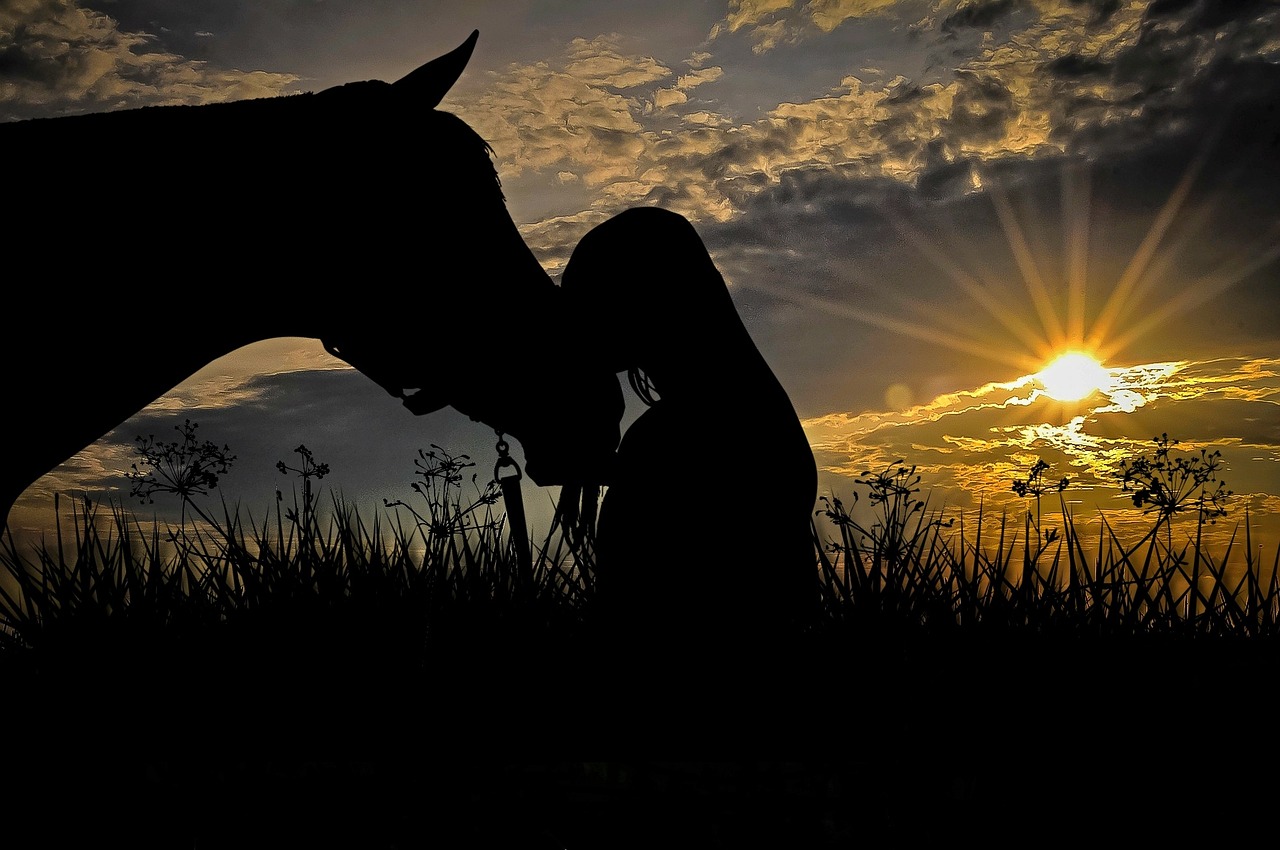 equine therapy image of a horse and girl with a sunset