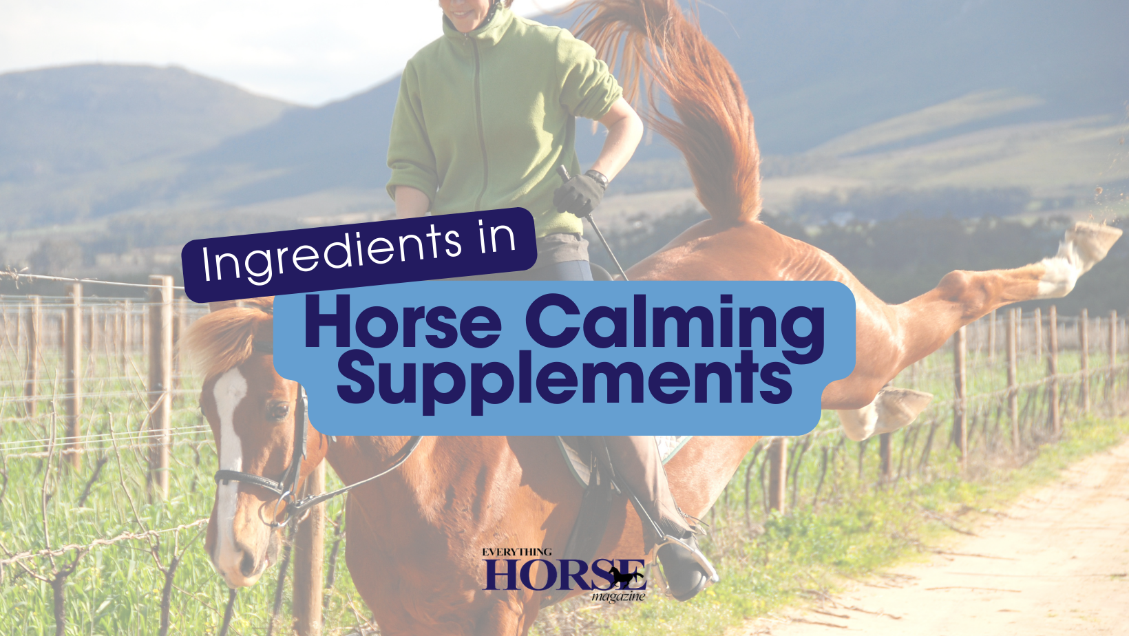 ingredients in horse calming supplements. Image of a horse kicking out his back legs with a rider in the saddle.