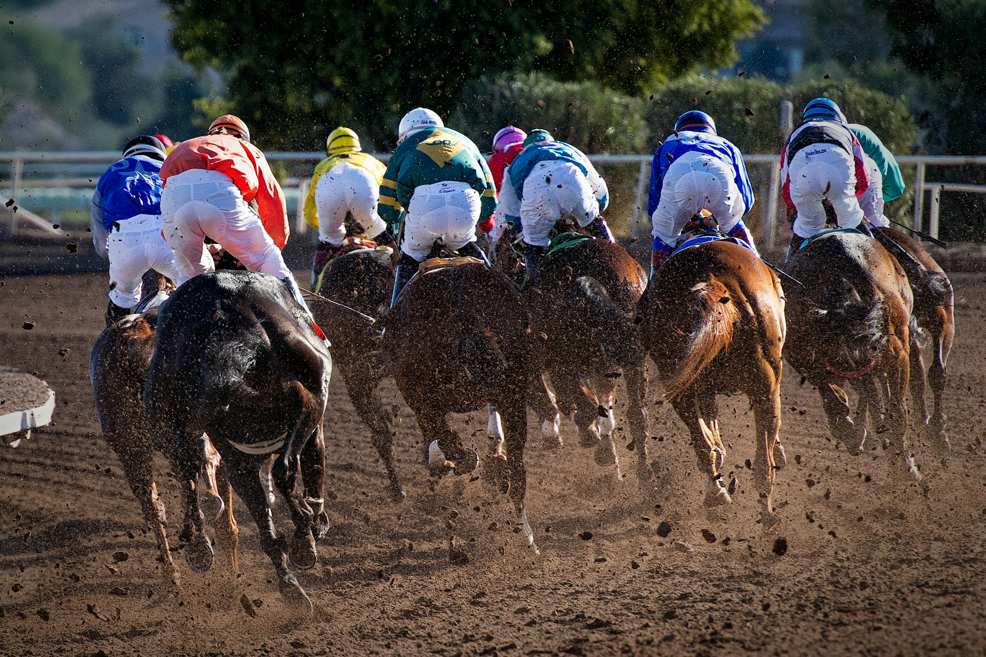 Article about the Sydney Cup. Image of horses racing on sand from the back