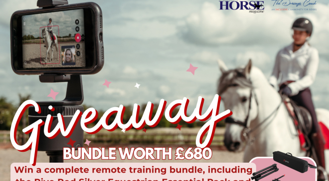 giveaway bundle pivo dressage coach - with everything horse