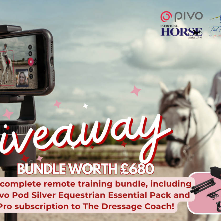 giveaway bundle pivo dressage coach - with everything horse