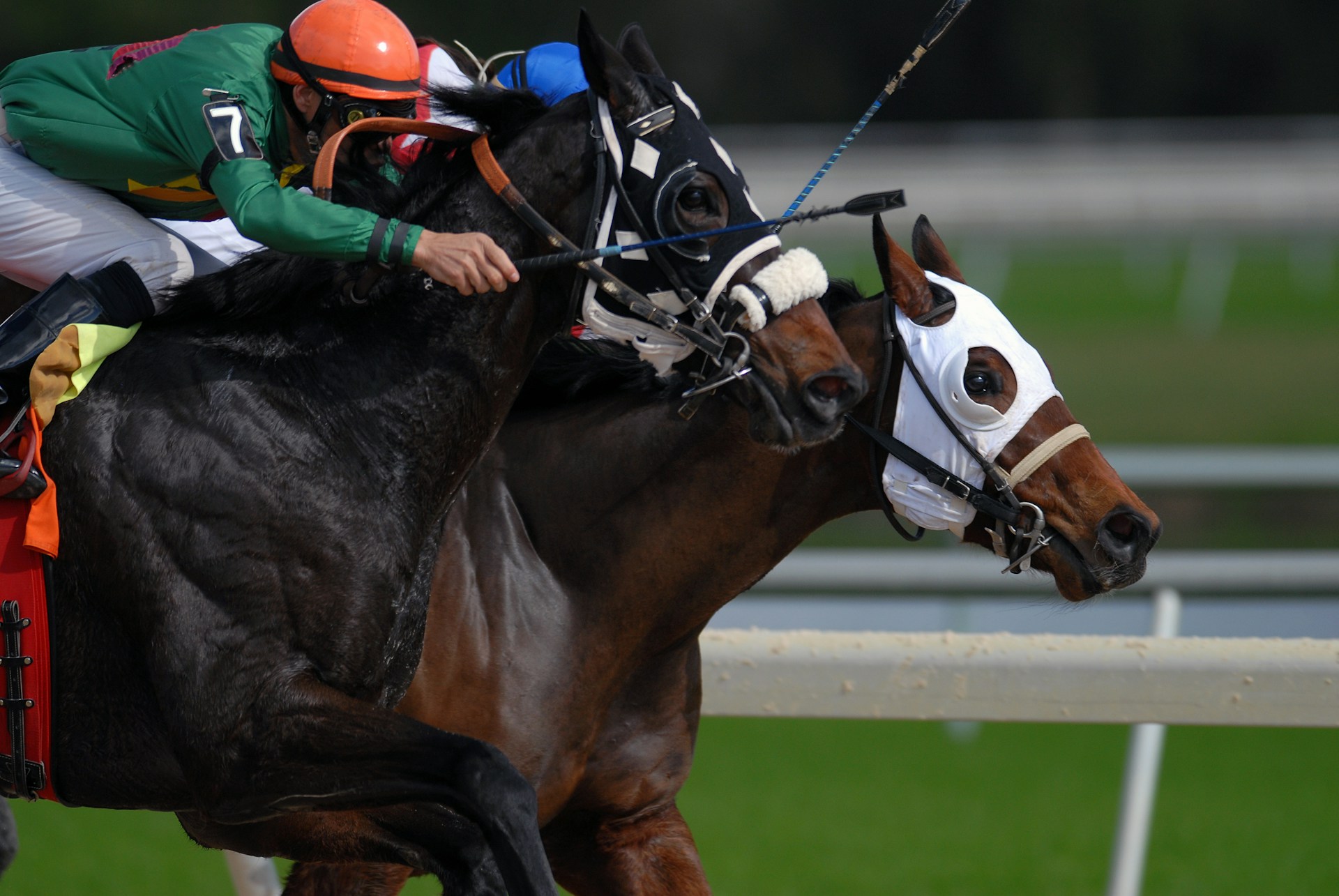 Discover three of the richest horse races in the world. Image of two horses being raced side by side.